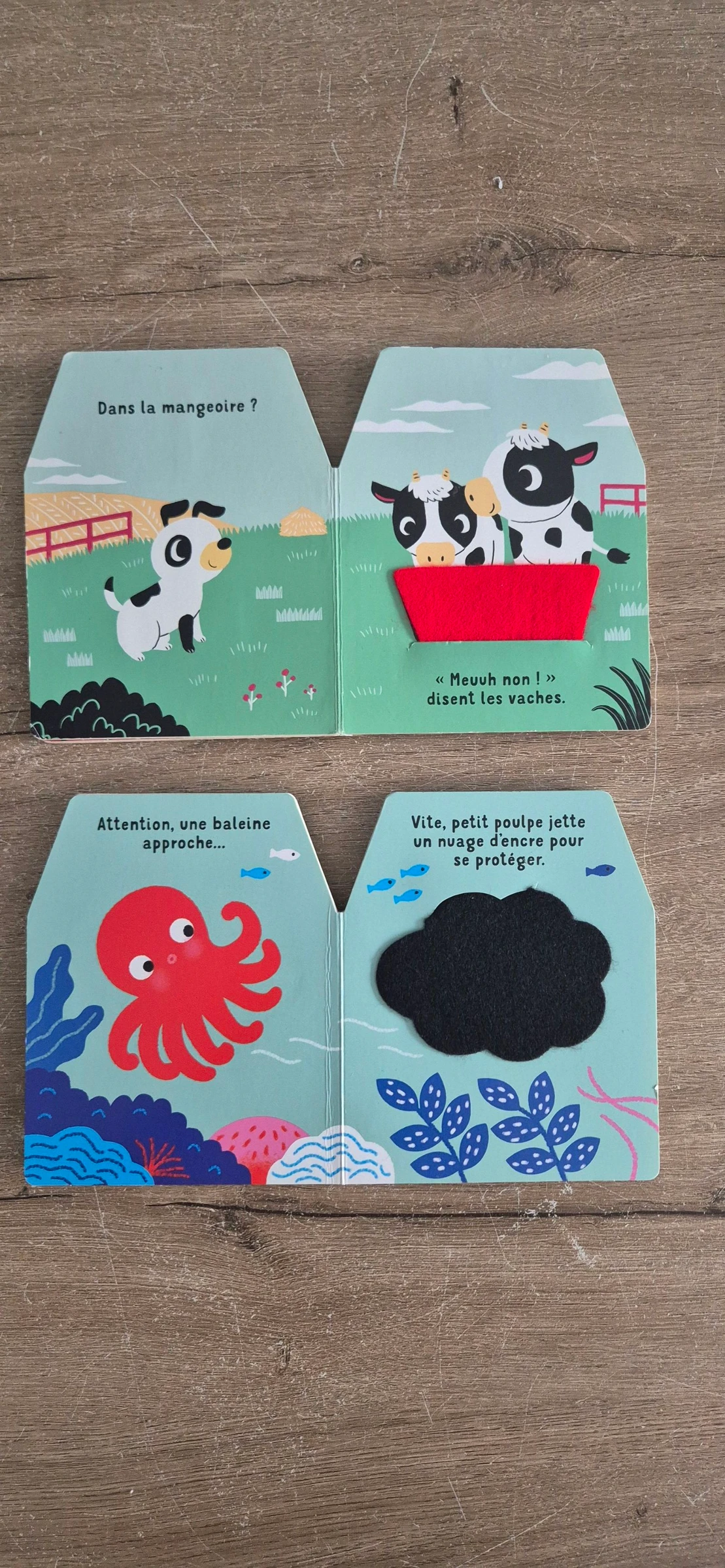 Lote de livros Cache-cache em feltro – photo 7